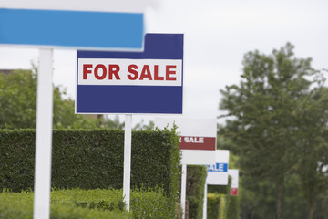 Real estate for sale signs in a row by hedges