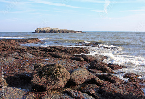 coast of Torquay photo