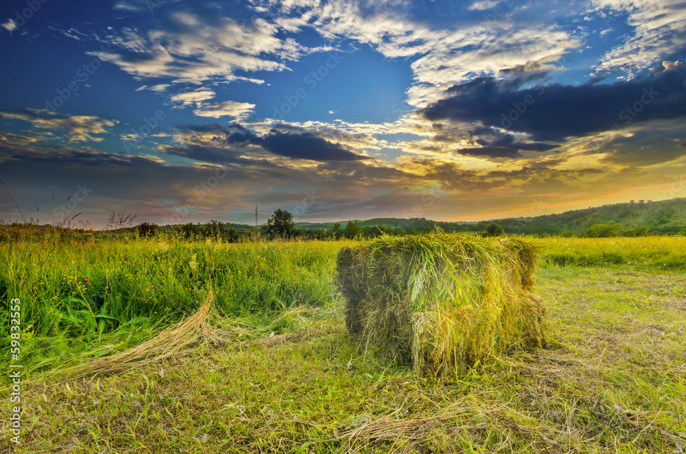 Field in the countryside filled with straw bales on sunset