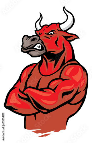 bull in crossed arm pose and showing the muscles
