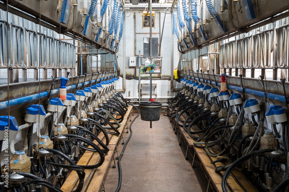 Ταπετσαρία Equpment with milking machines on dairy farm