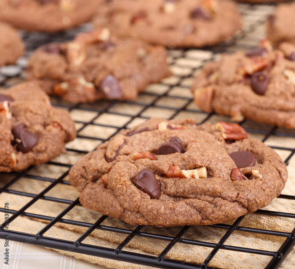 Fototapeta premium Chocolate Chip Cookies Closeup