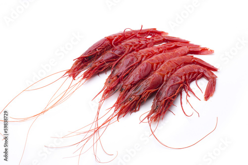 shellfish red