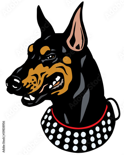 doberman head
