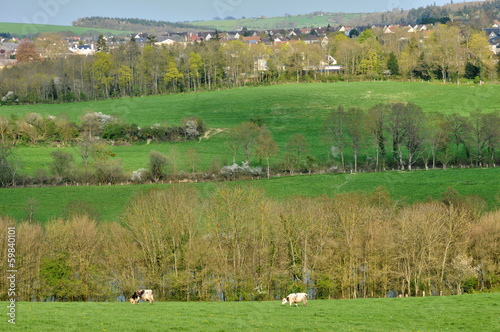 landscape of thury harcourt photo