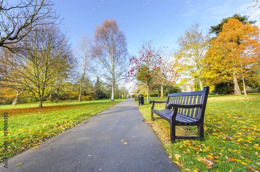 Benches in london autumn park