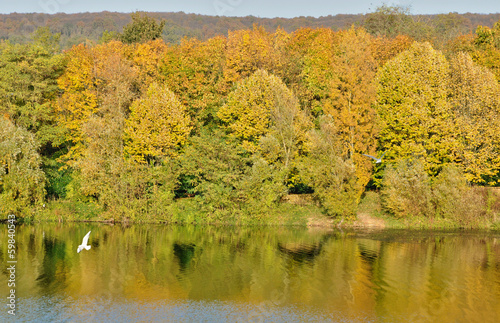 France, Gallardon pond in Vernouillet photo