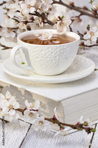 cherry blossom, cup of tea