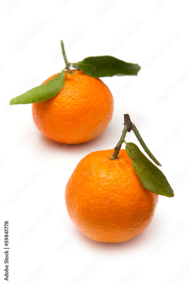 Clementine's isolated on a white studio background. Clementine's isolated on a white studio background.