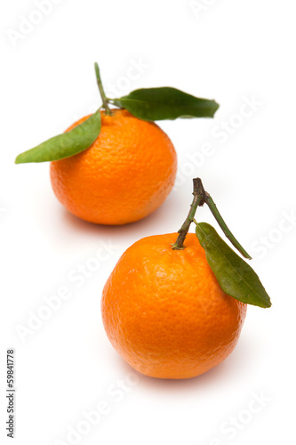 Clementine's isolated on a white studio background.
