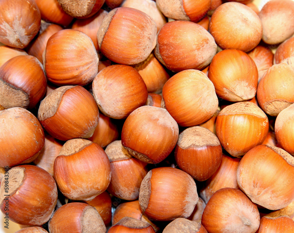 Background of the lot of hazelnut Background of the lot of hazelnut