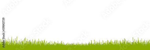 Grüne Wiese