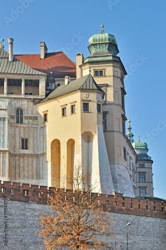 Wawel Royal Castle #59844996