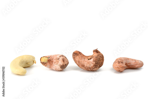 cashews with shell