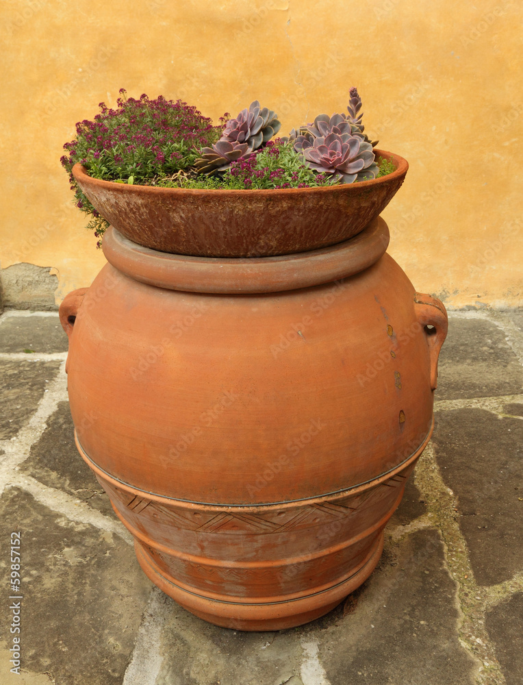 elegant  tuscan  plant container