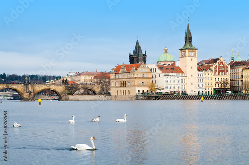 Cityscape of Prague with the Charles Bridge and Swans photo
