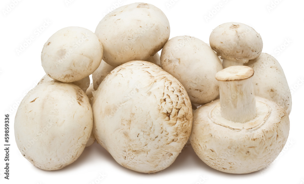 Champignon mushrooms