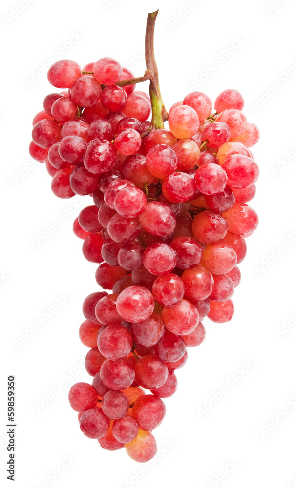 Fototapeta premium Grapes