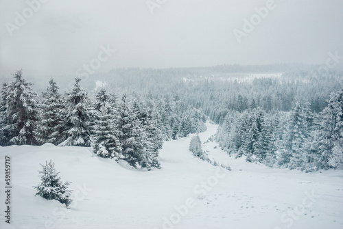 Winterlandschaft