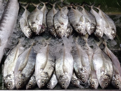 Fresh fishs in Thai fresh market
