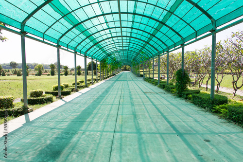 Walkway covered with shading net