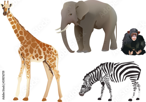 Wild animals #59876719