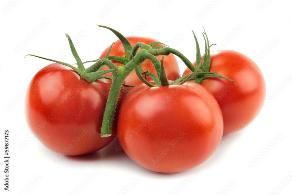 Fresh tomatoes isolated on white background. Fresh tomatoes isolated on white background.