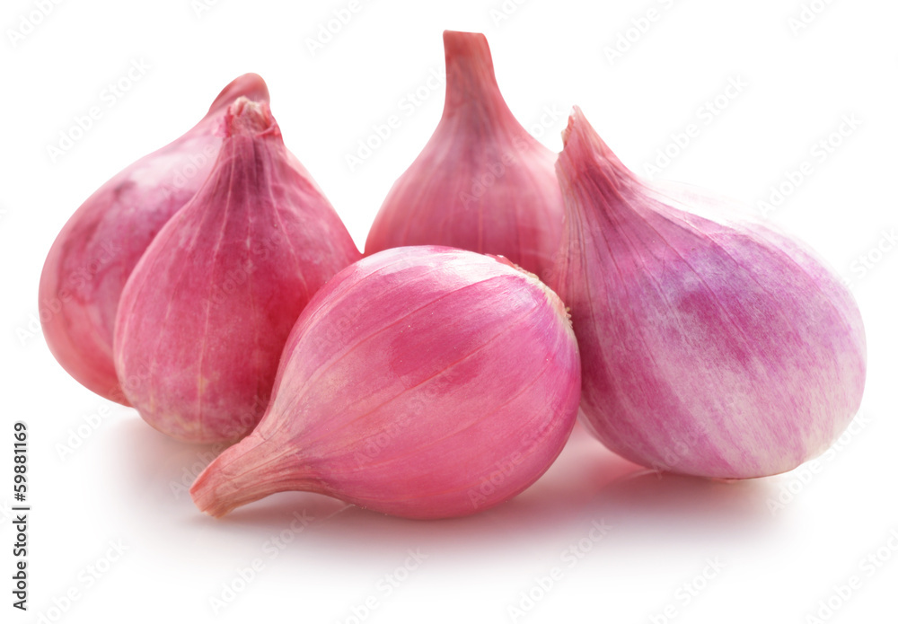 Fototapeta premium Shallots, Raw and uncooked isolated on white background