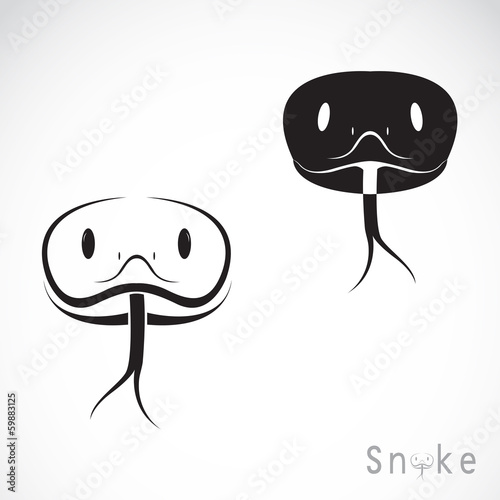 Vector image of an snake head
