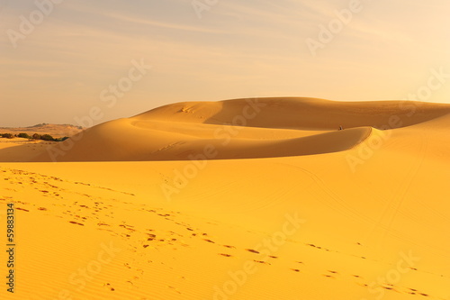 Sand Dune in Desert Landscape at Sunrise