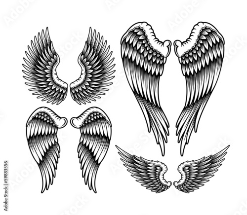 Set of Wings