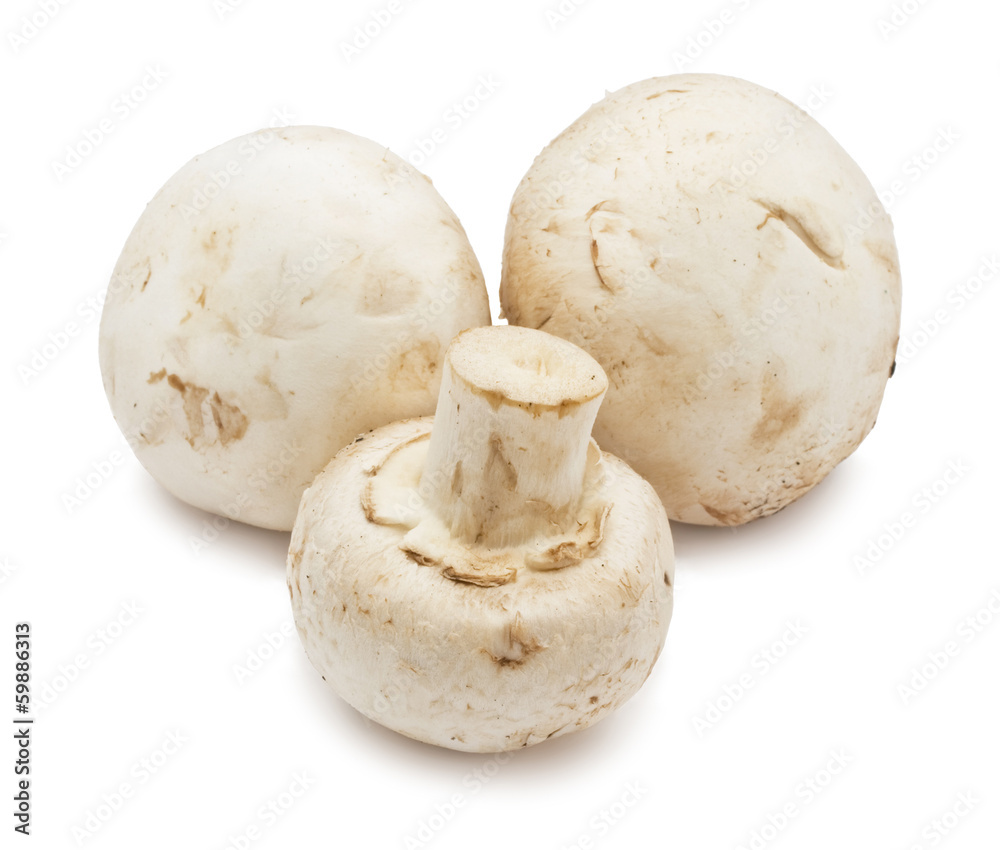 Champignon mushrooms Champignon mushrooms