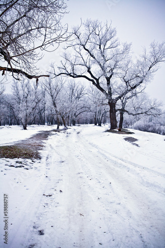 winter landscape © toomler