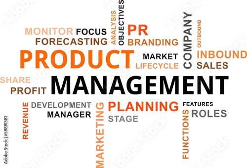 word cloud - product management