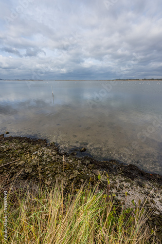 Orbetello - Laguna e Fenicotteri Rosa photo