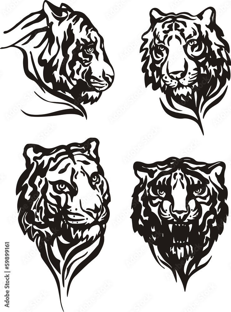 Set of tiger heads