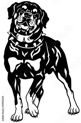 rottweiler black white