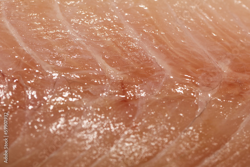 fillet meat closeup detail view