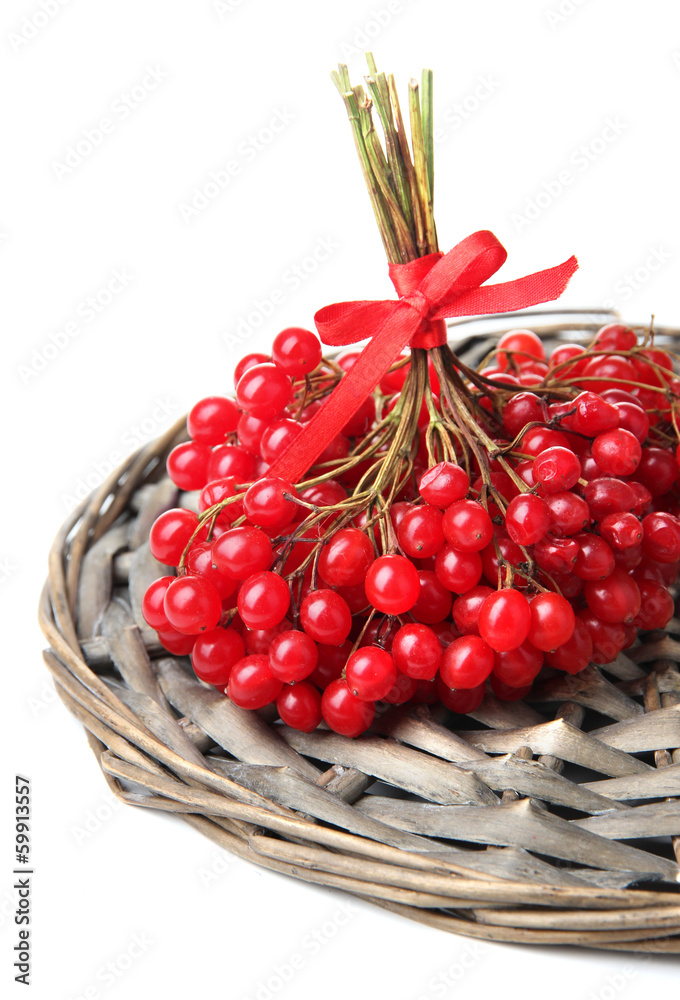 Red berries of viburnum isolated on white