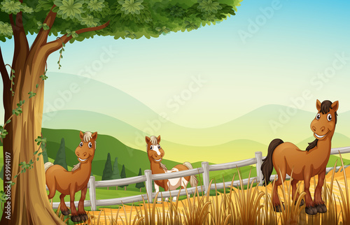 Horses at the hill near the tree