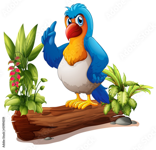 A parrot above the trunk with plants