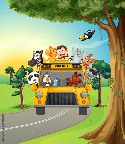 A group of animals travelling