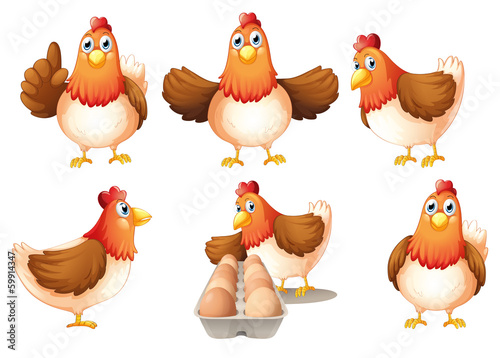 A group of fat hens