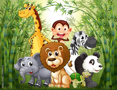 Obraz zwierzęta w dżungli