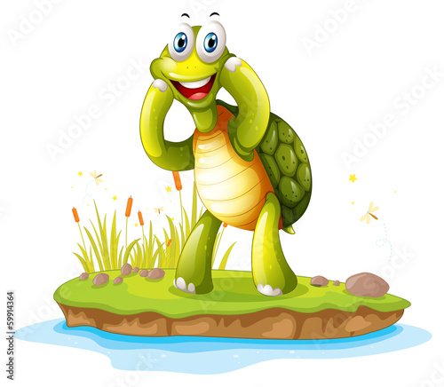 A smiling turtle in an island