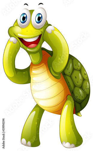 A happy turtle