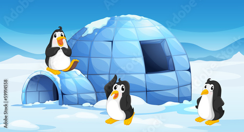Three penguins near an igloo