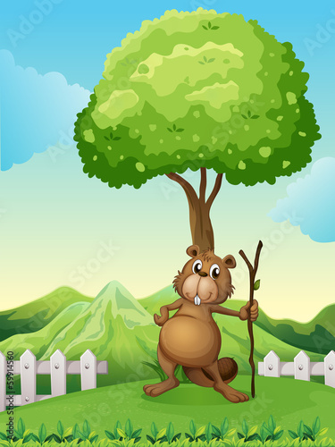 A beaver holding a stick under the tree