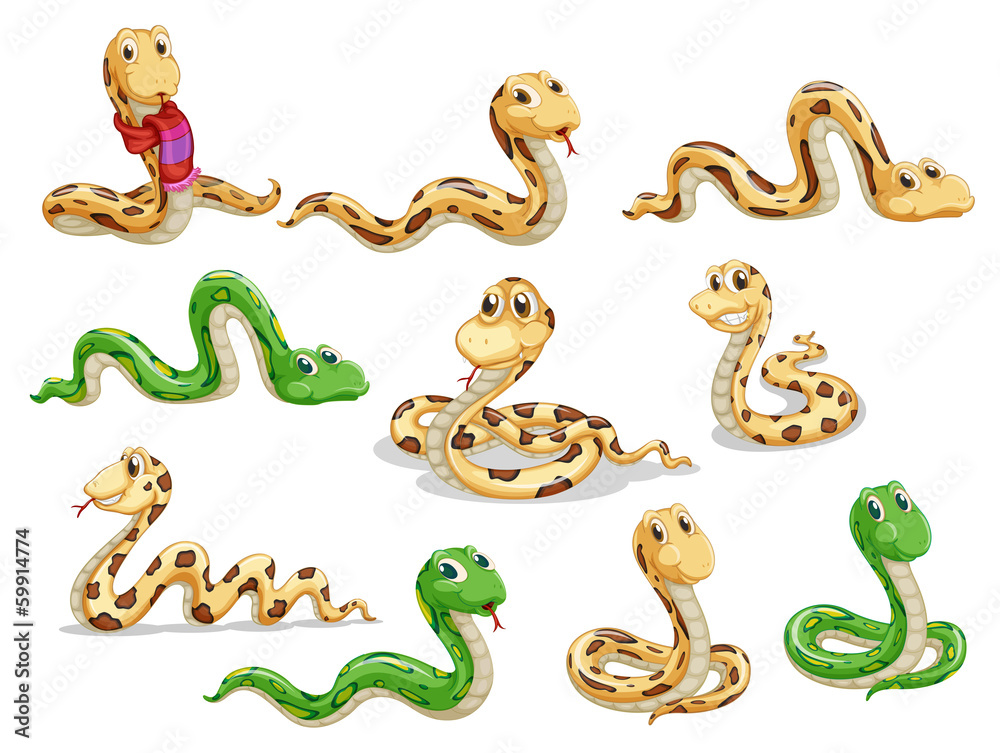 Obraz premium Grupa zmysłowych węży