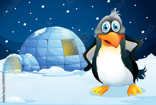 A penguin standing near the igloo